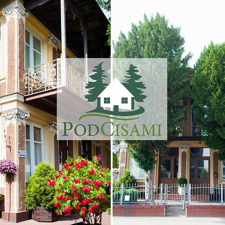 Pod Cisami Apartments Мендзиздрое Екстериор снимка